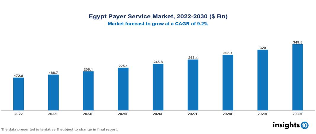 Egypt Payer Service Market Analysis