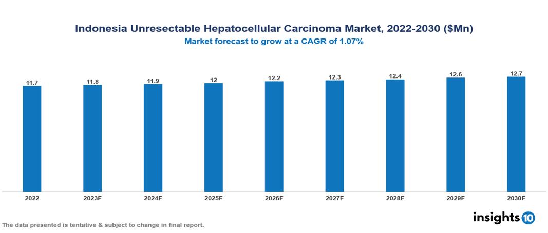 Indonesia Unresectable Hepatocellular Carcinoma Market Analysis